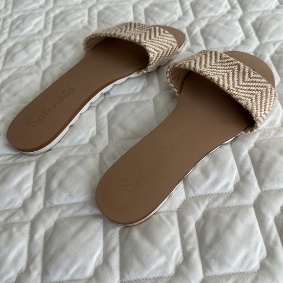 Splendid Slides - Picture 3 of 4